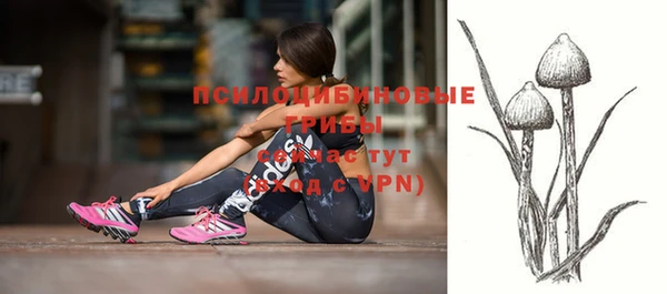 а пвп мука Коряжма