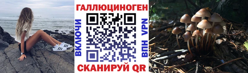 ОМГ ОМГ ССЫЛКА  закладки  Высоковск  Галлюциногенные грибы GOLDEN TEACHER 